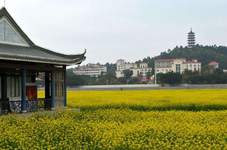 Dongguan Goodview Hotel Sangem Qiaotou Удобства фото